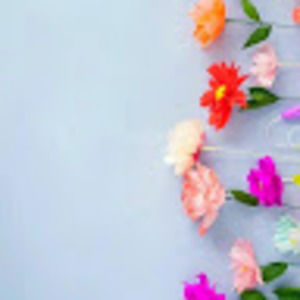 Meet your Posher, Fanni